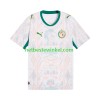 Senegal Voetbalshirts Thuis 2026 2027